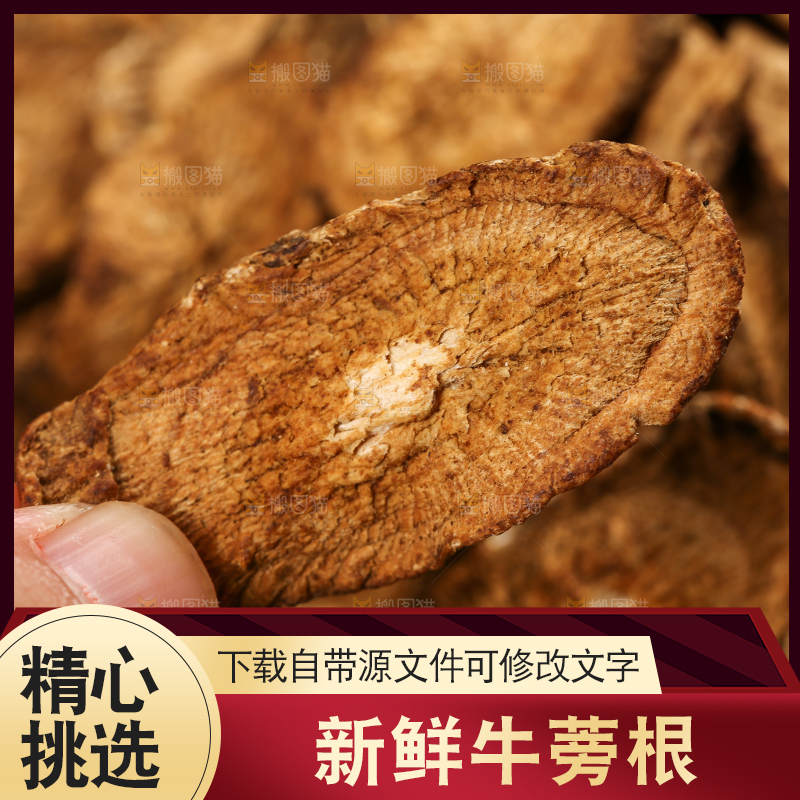 手里拿着牛蒡根