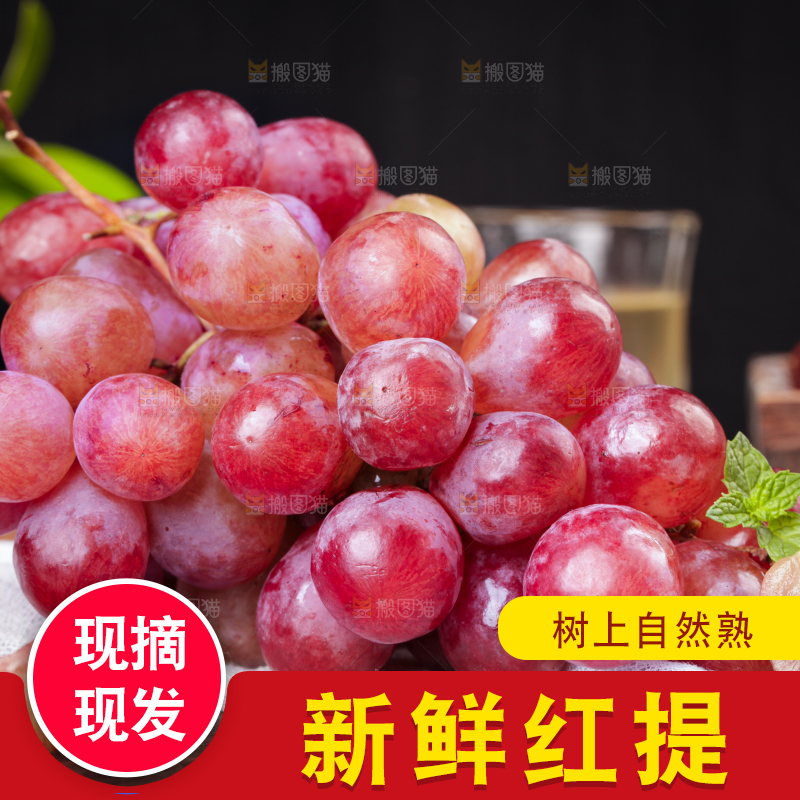 白底上的红提