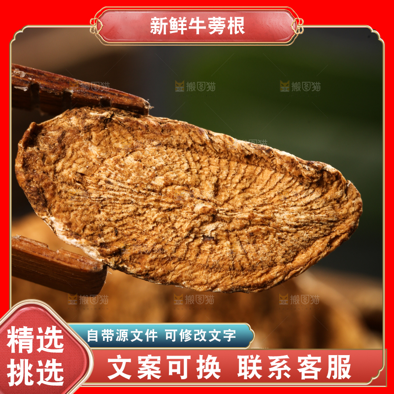夹子上夹着牛蒡片