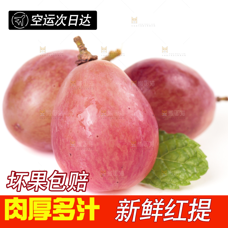 白底上的红提