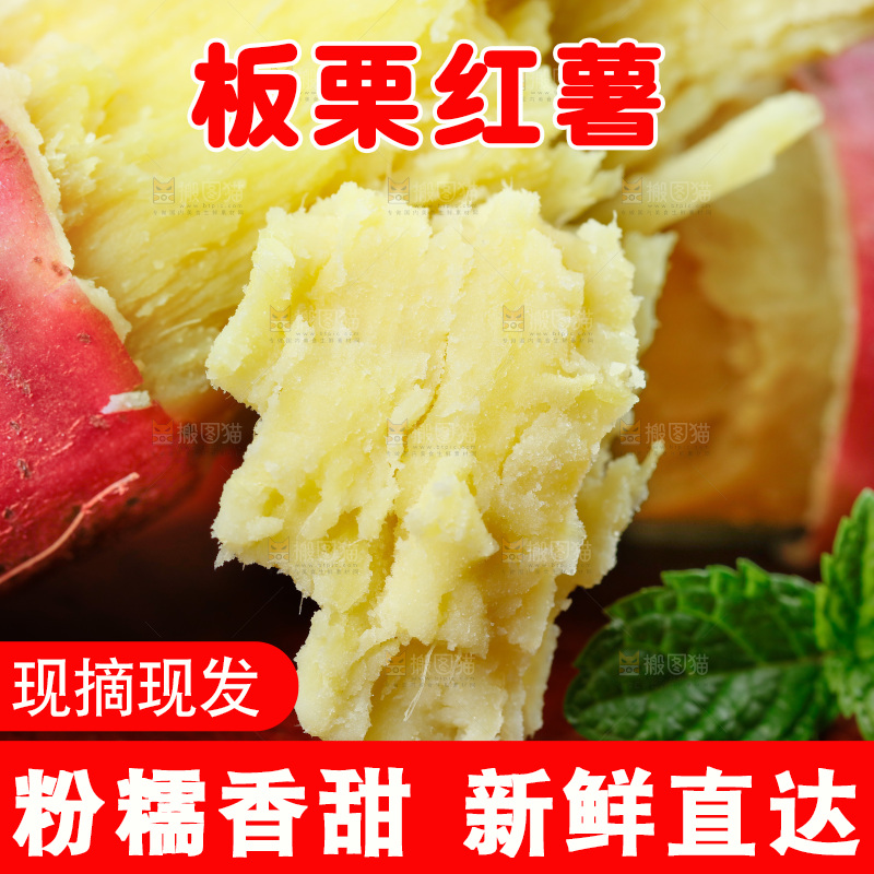 板栗薯