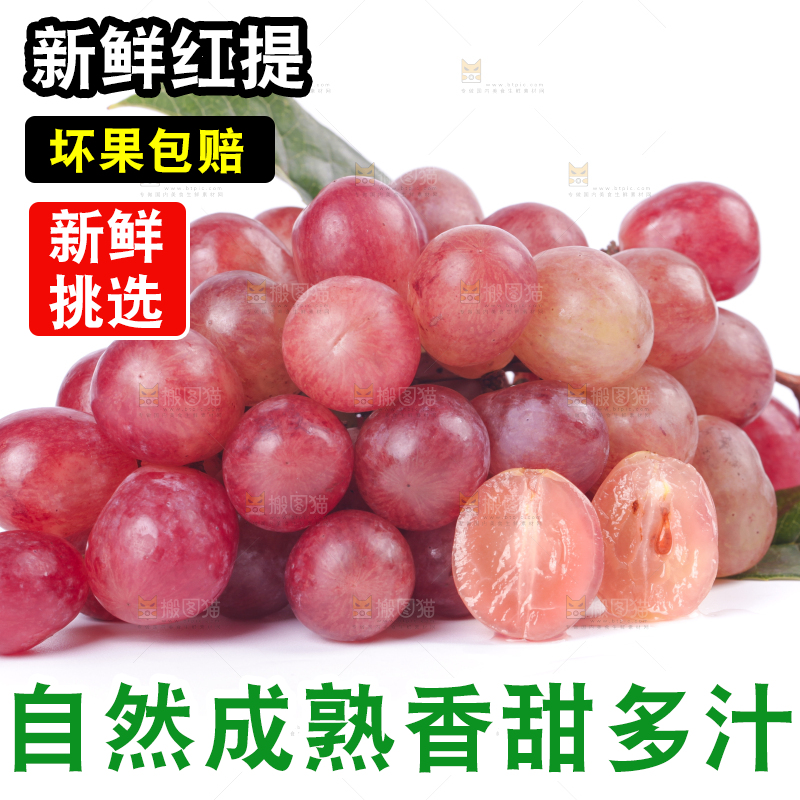 白底上的红提