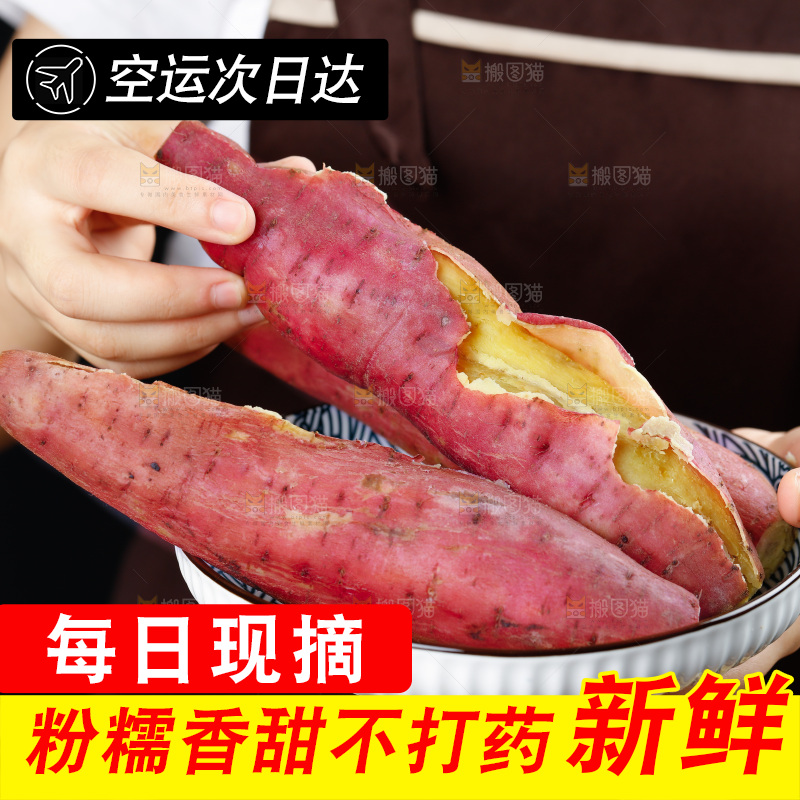 板栗薯
