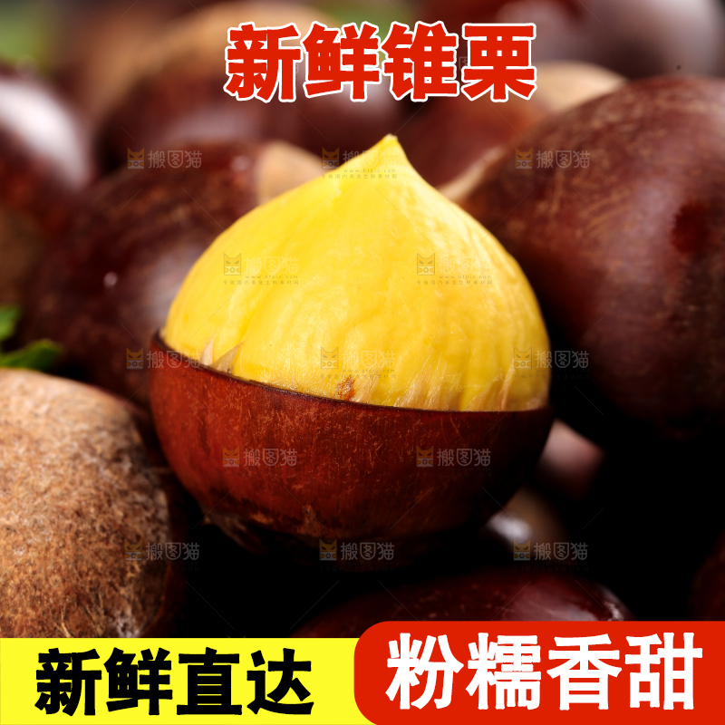 篮子里的生锥栗