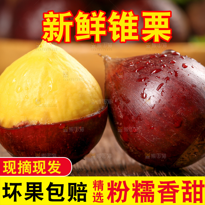 木底上的尖板栗