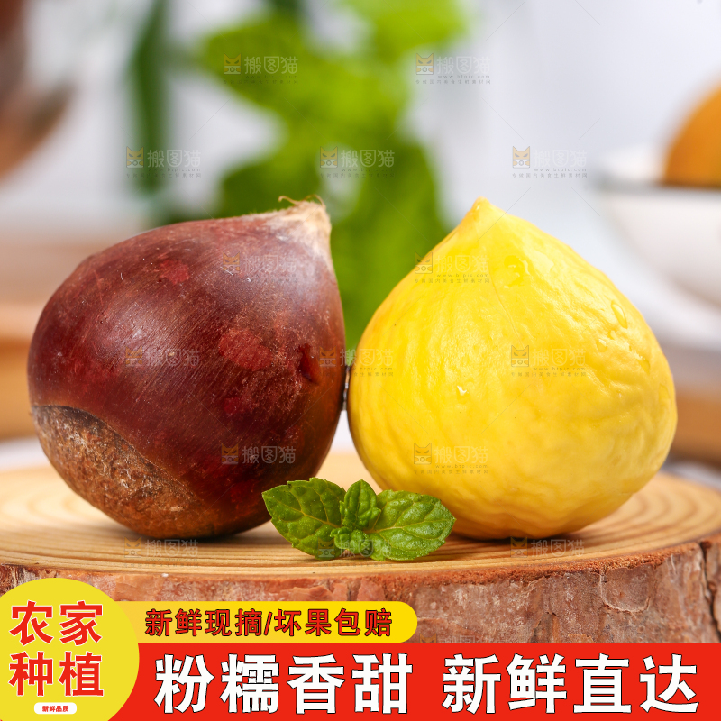 木垫上放着锥栗仁