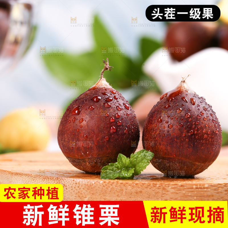 木板上的建瓯锥栗