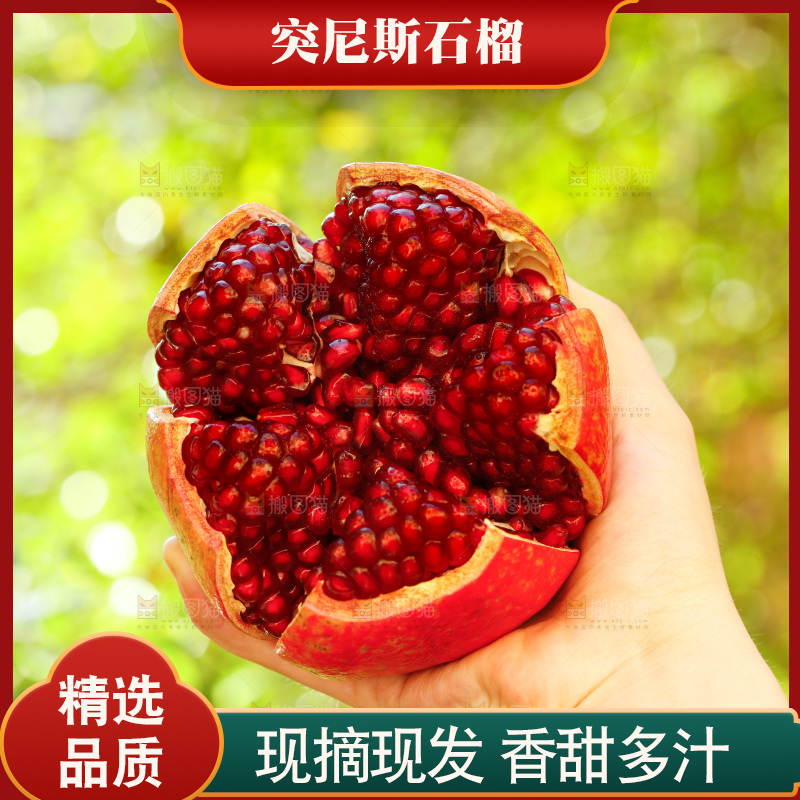 手上拿着突尼斯软籽石榴
