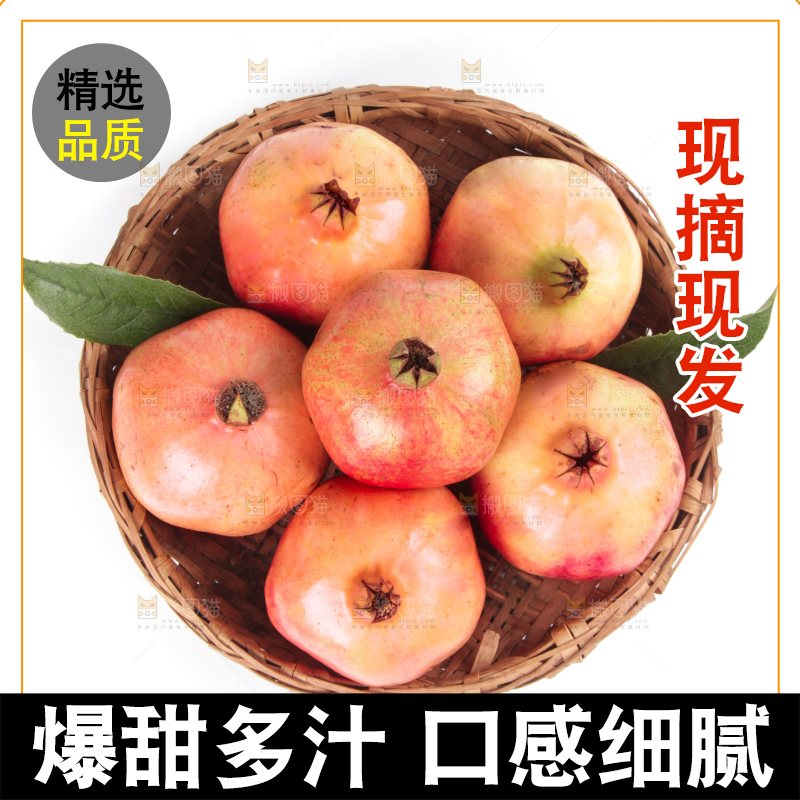 篮子里的突尼斯石榴