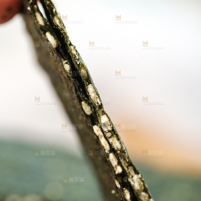 手里拿着芝麻夹心海苔