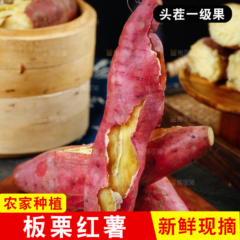 板栗薯