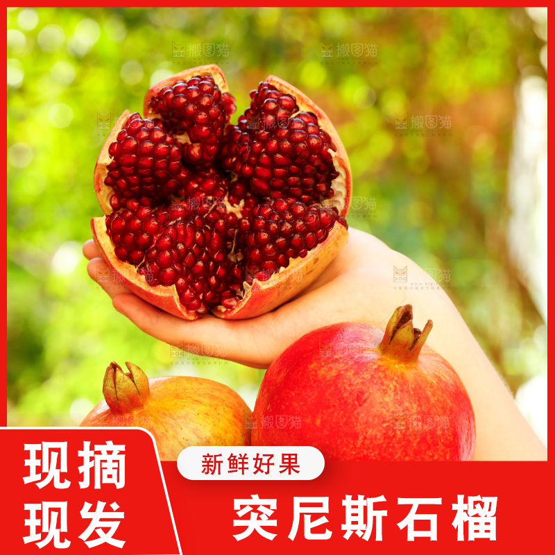 手上拿着突尼斯软籽石榴