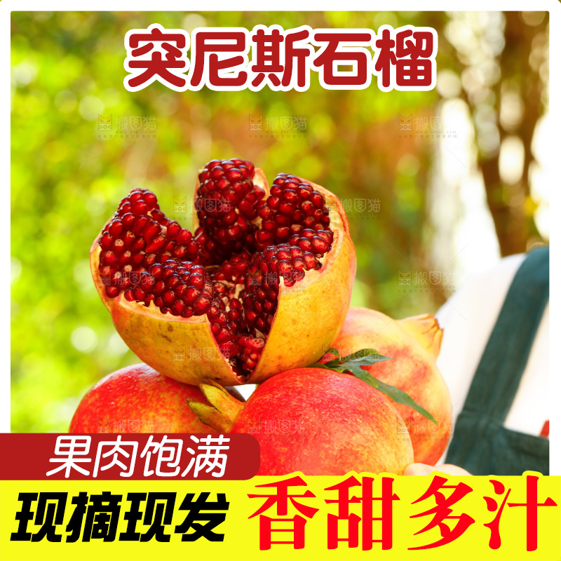 手上拿着突尼斯软籽石榴