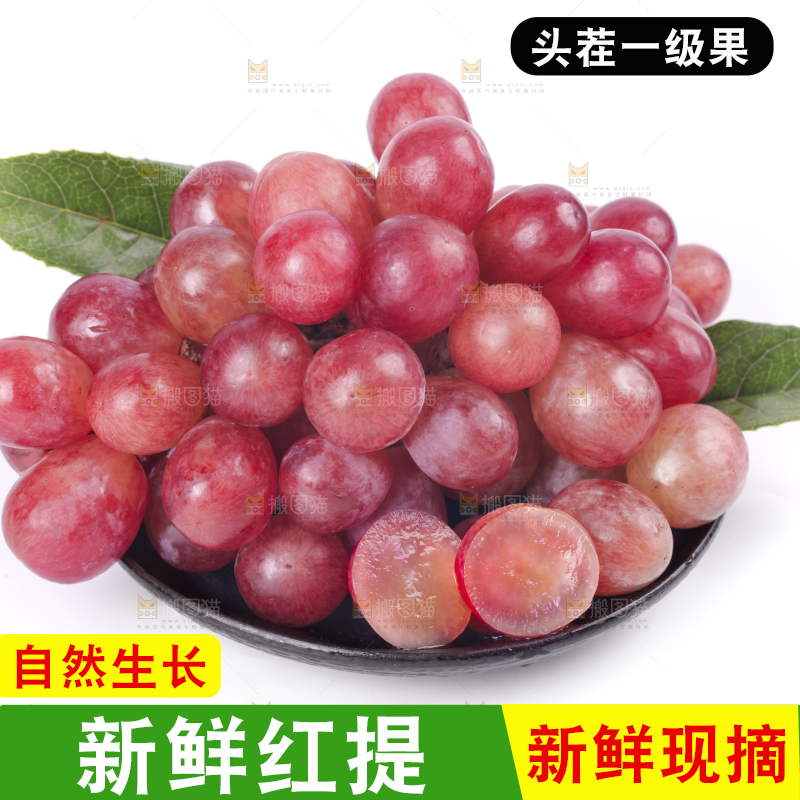 白底上一盘新鲜红提