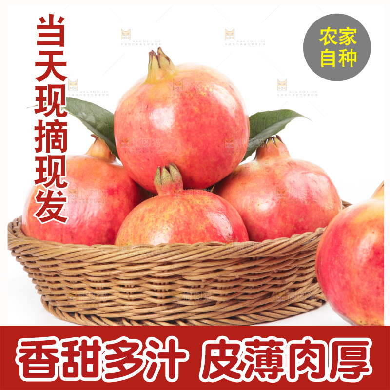 篮子里的突尼斯石榴