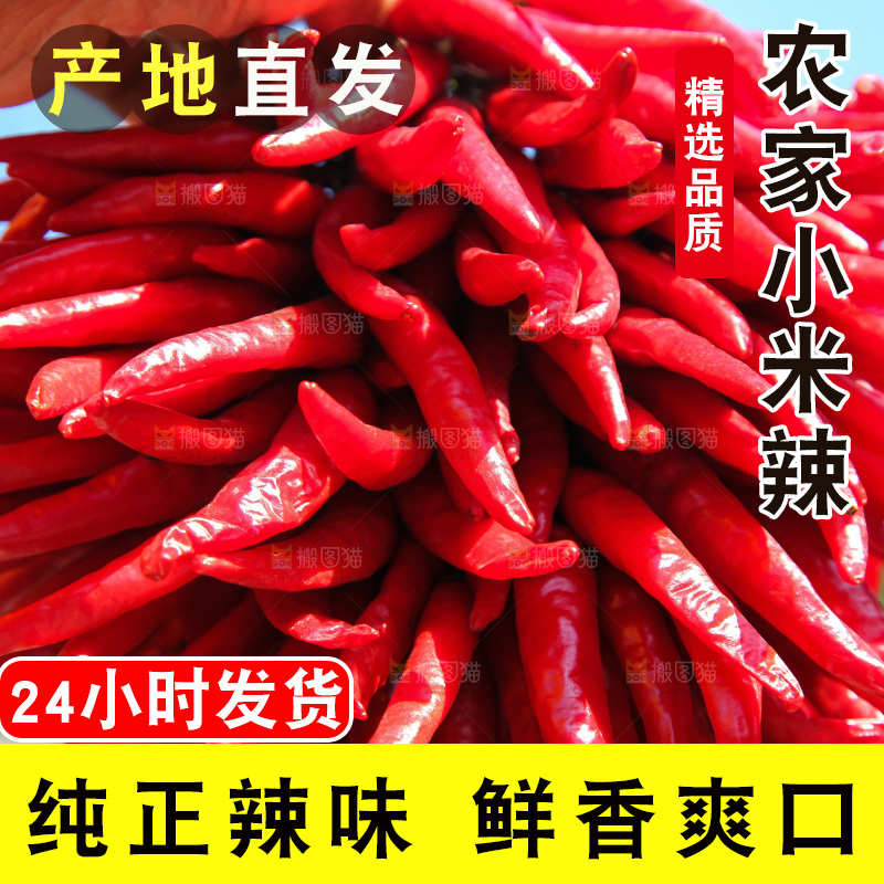 堆放着的大片小米辣
