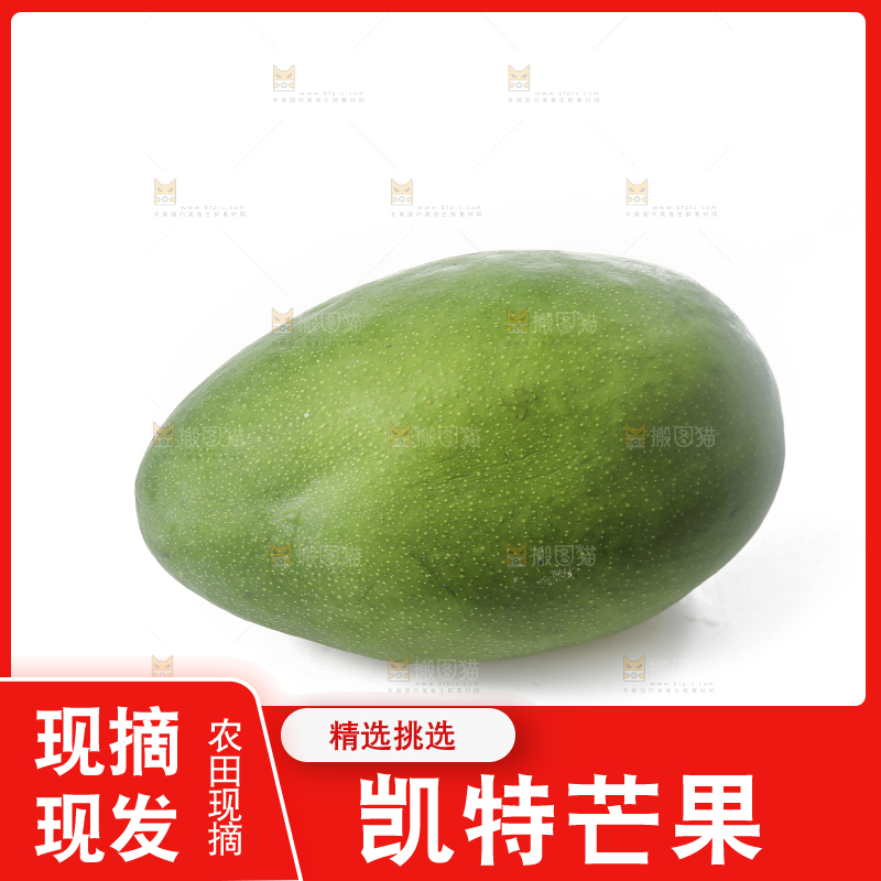 白底上的青皮凯特芒