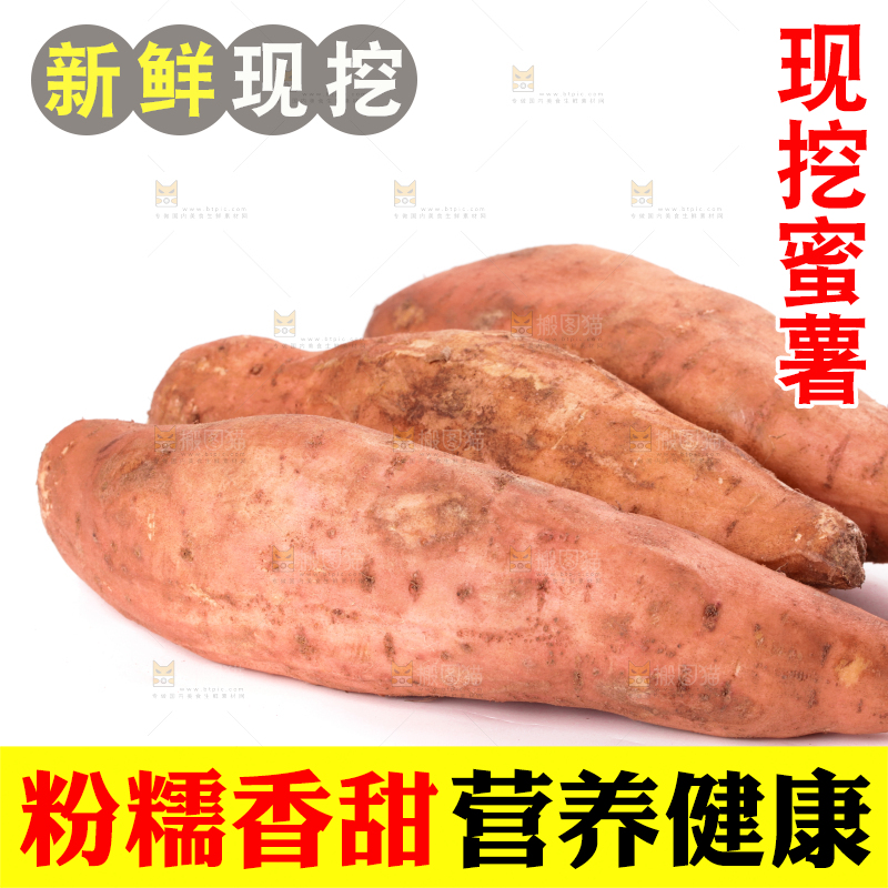 白底上的红薯