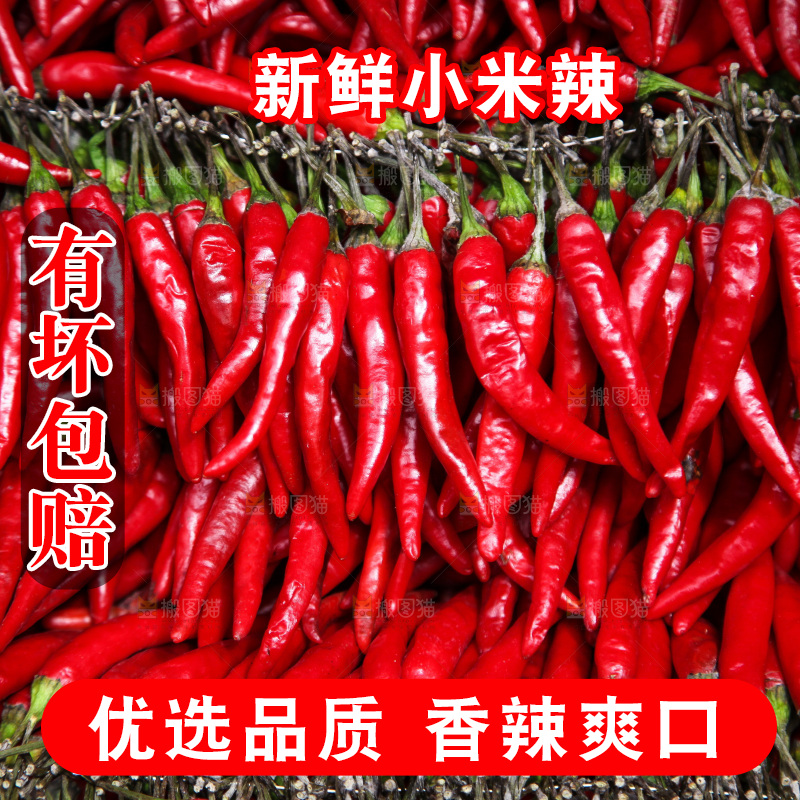 堆放着的大片小米辣