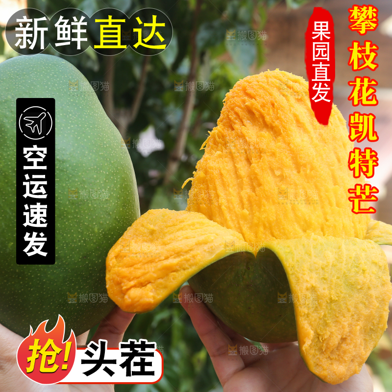 手里拿着青皮凯特芒