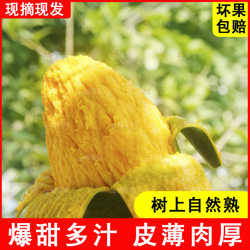 手里拿着青皮凯特芒