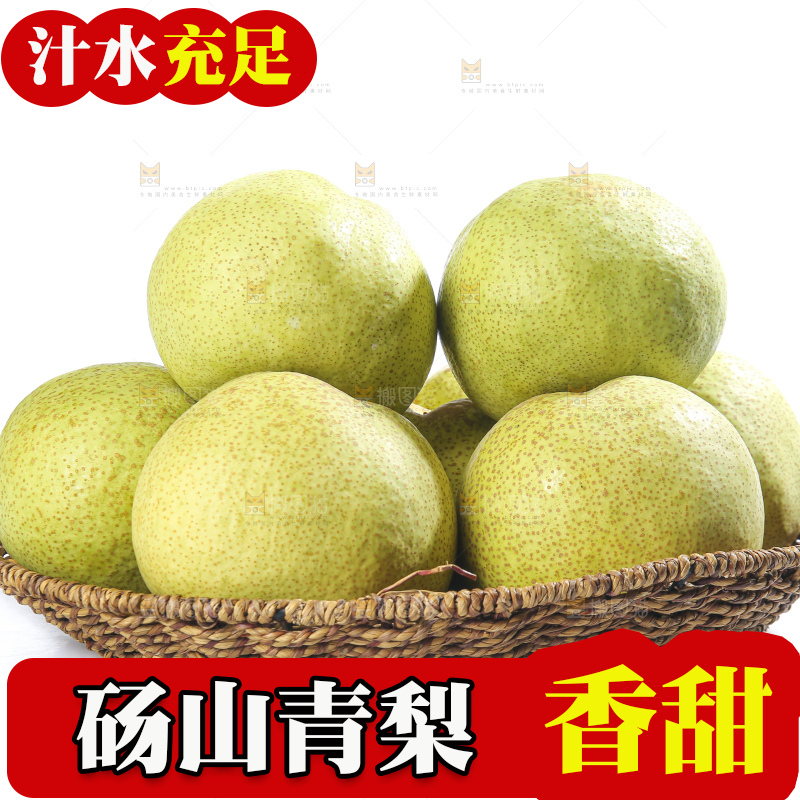 白底上的砀山梨