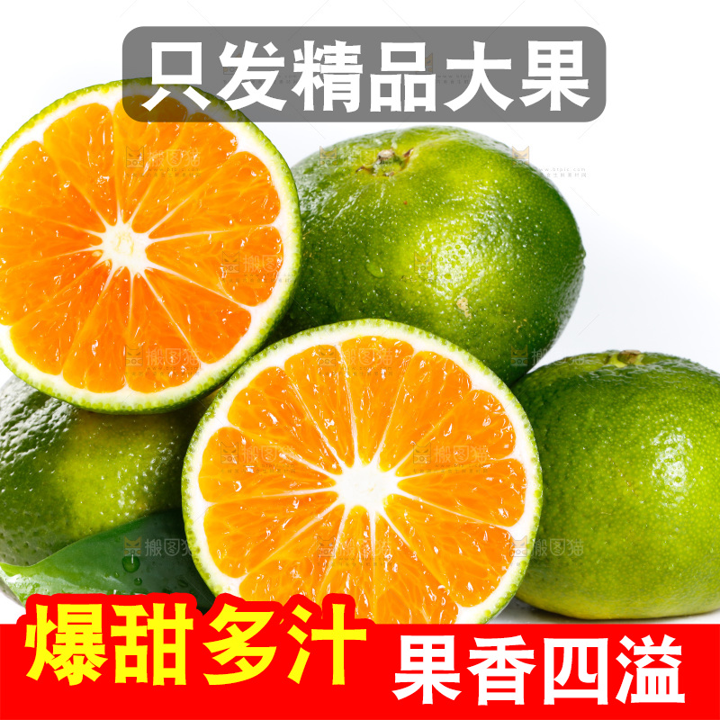 一堆新鲜青皮蜜桔