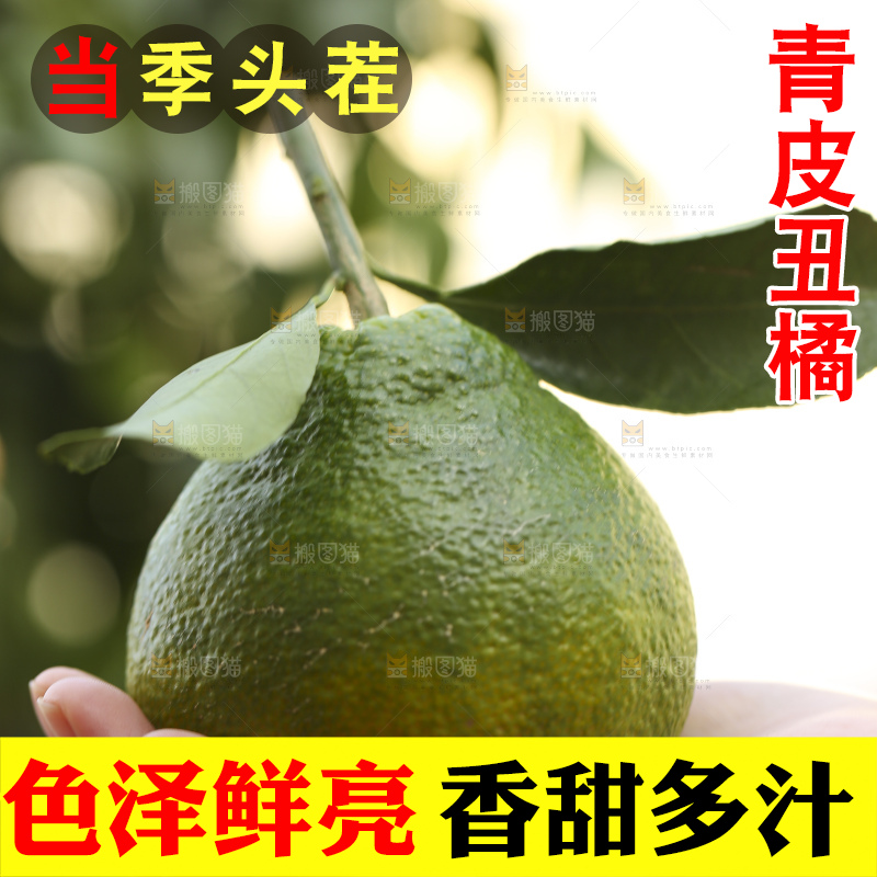 深底上的青皮丑橘