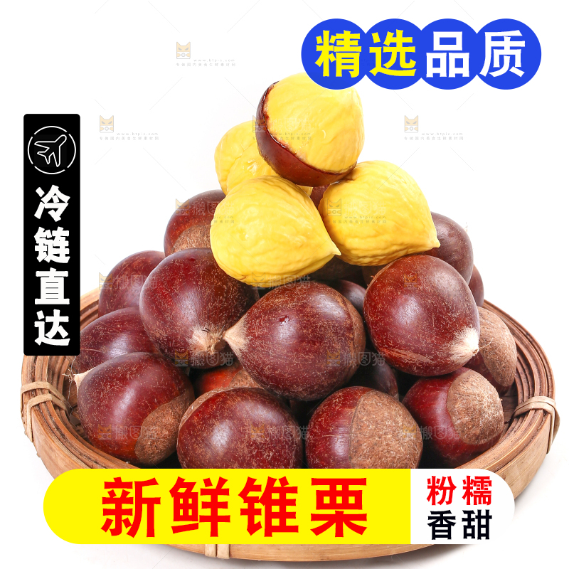白底上放着一篮新鲜锥栗