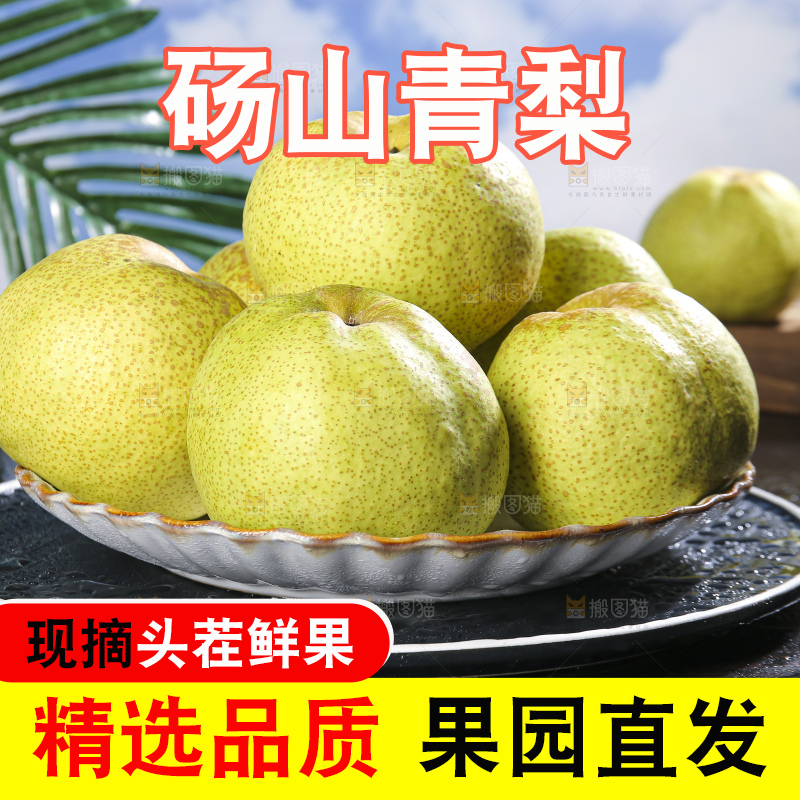 深底上的砀山梨