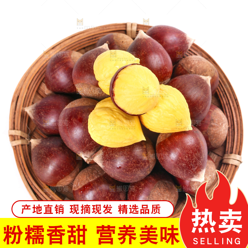 白底上放着一篮新鲜锥栗