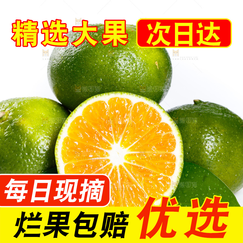 白底上的无籽蜜桔