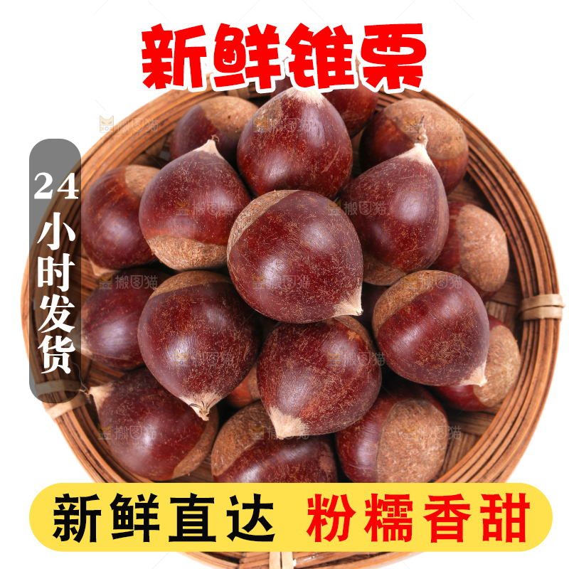 白底上放着一篮新鲜锥栗
