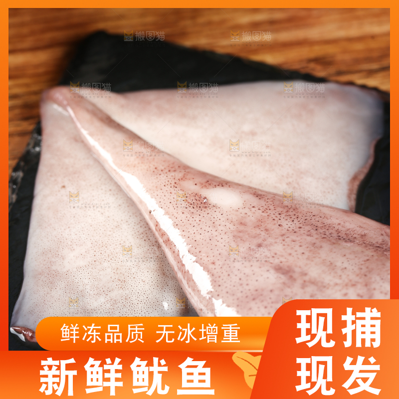 黑底上的鱿鱼