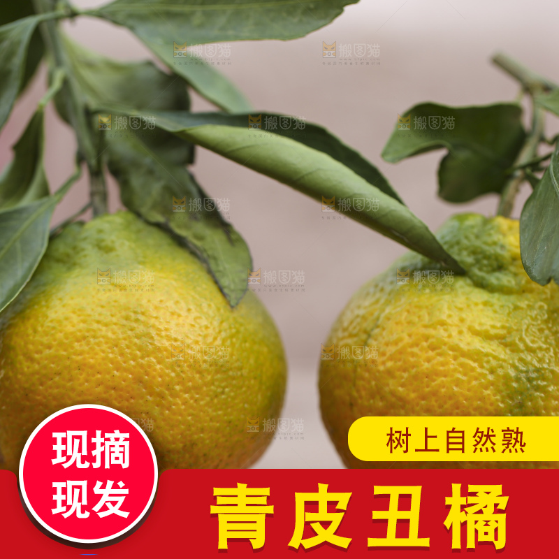 深底上的青皮丑橘