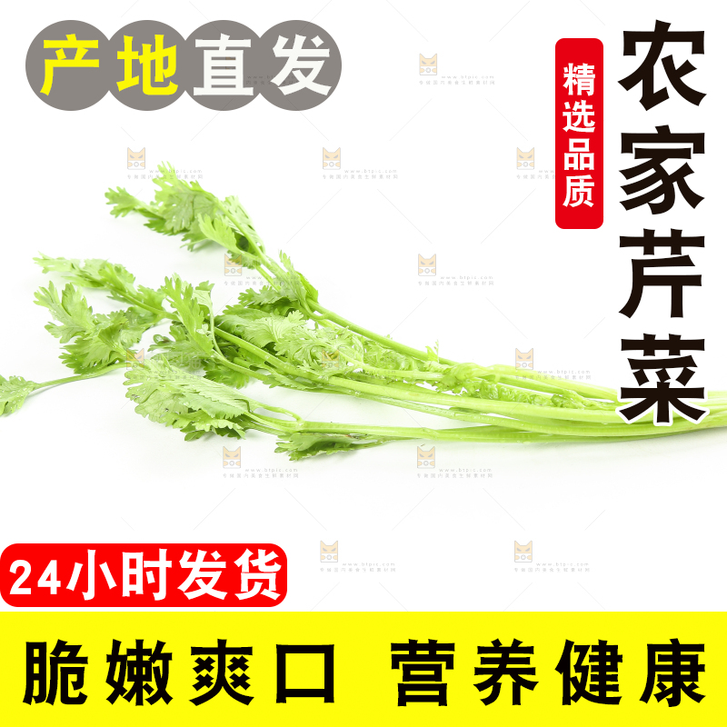 白底上的芹菜