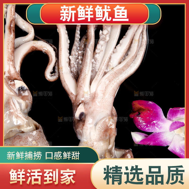 黑底上的鱿鱼