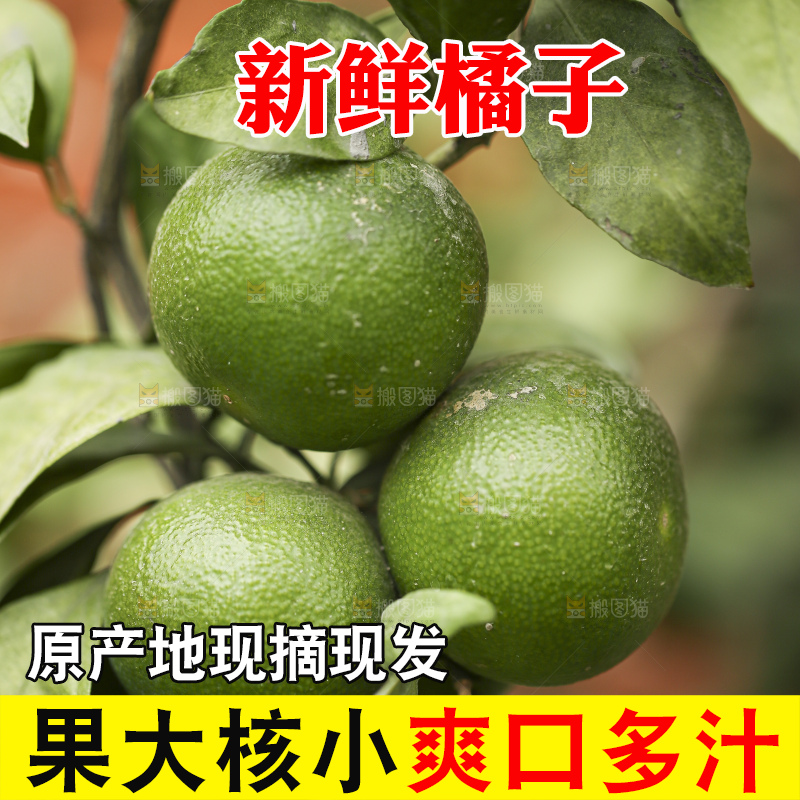 户外的青橘