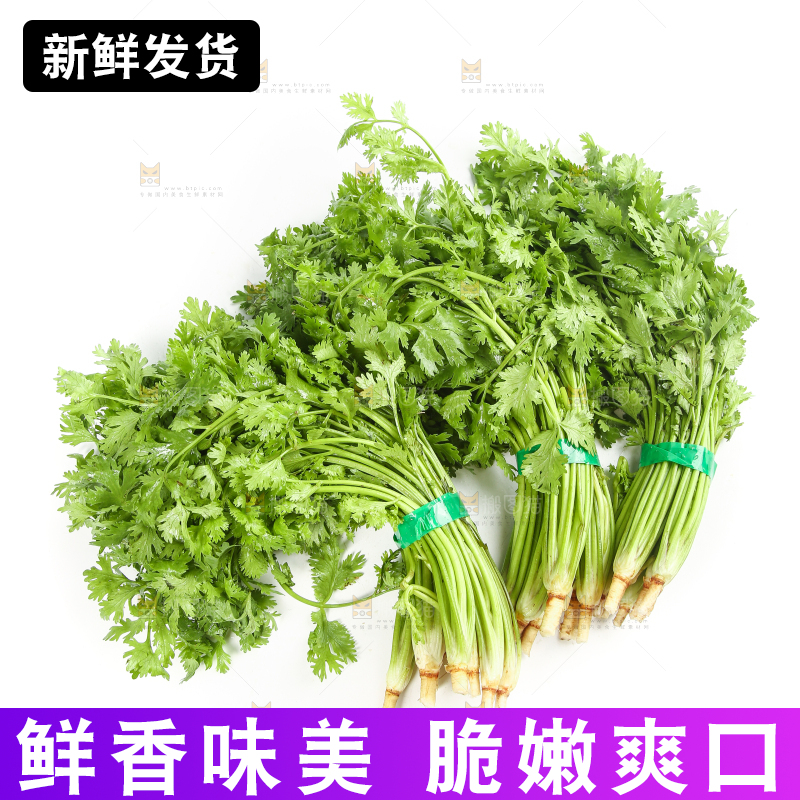 白底上的芹菜
