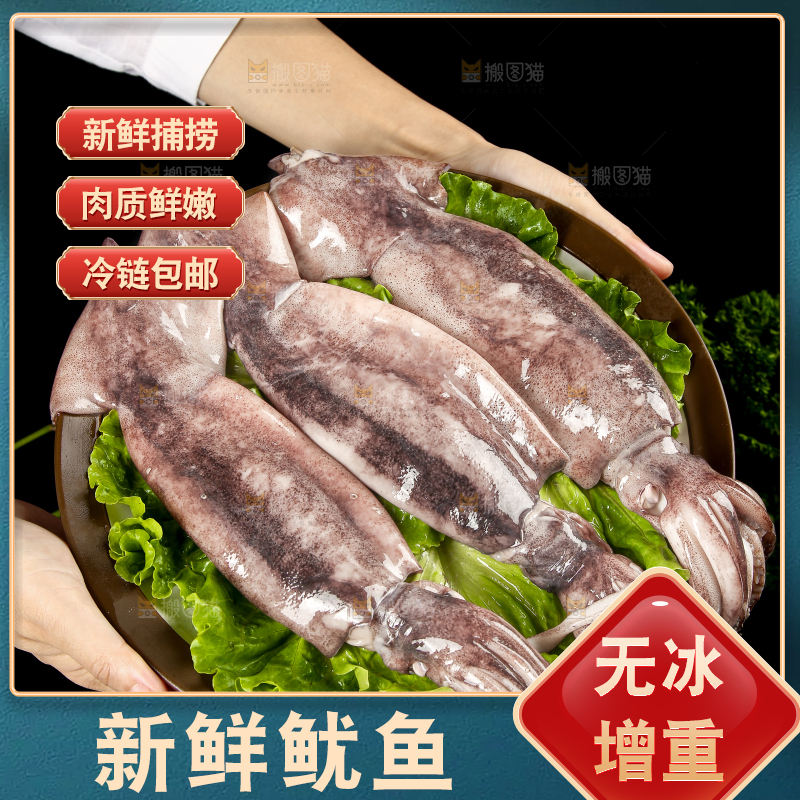 黑底上的鱿鱼