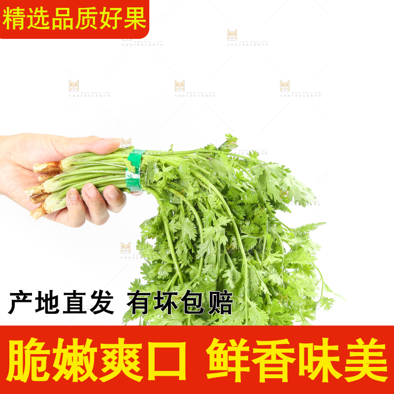 白底上的芹菜