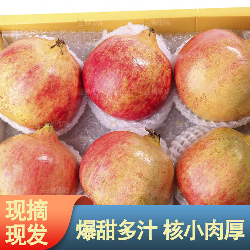 白底上的突尼斯软籽石榴