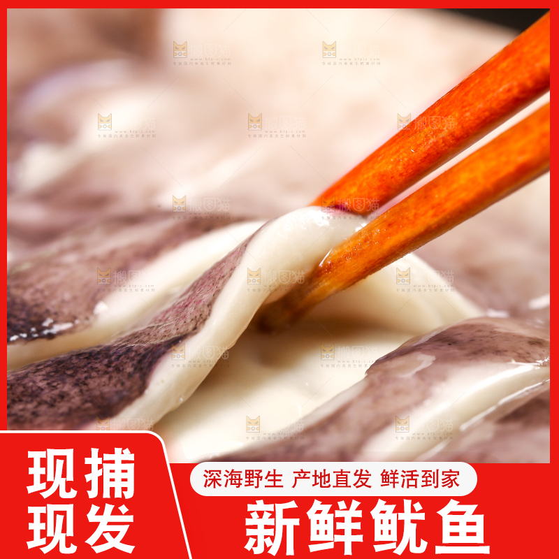 黑底上的鱿鱼