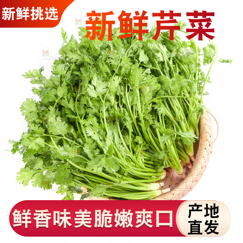 白底上的芹菜
