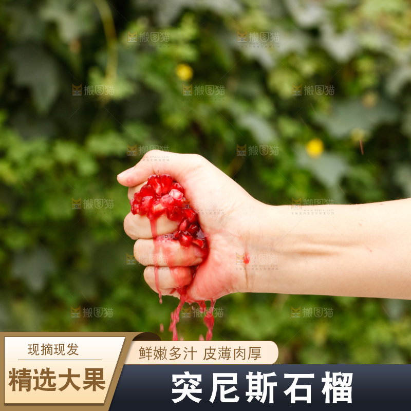 手里的突尼斯软籽石榴爆汁