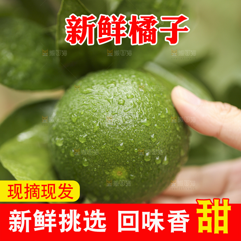 户外的青橘