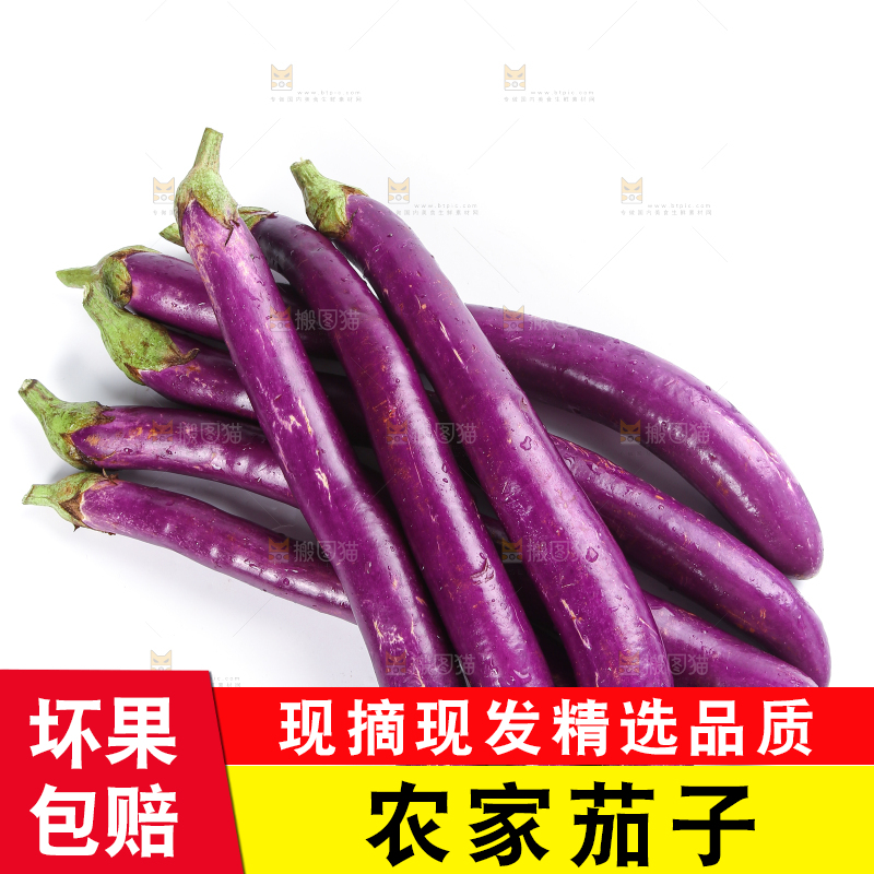 白底上的紫长茄子