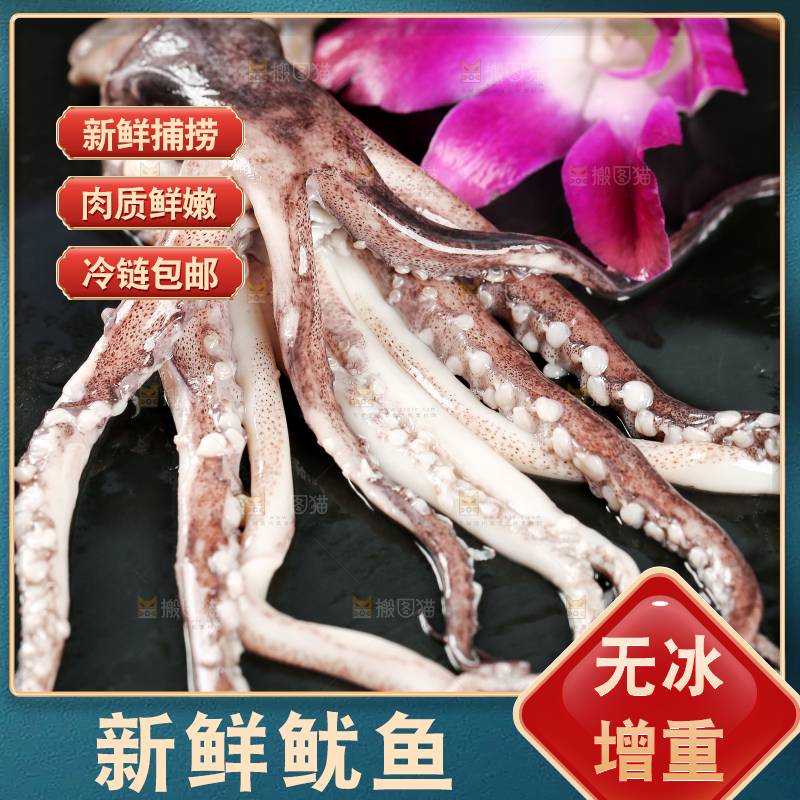 黑底上的鱿鱼