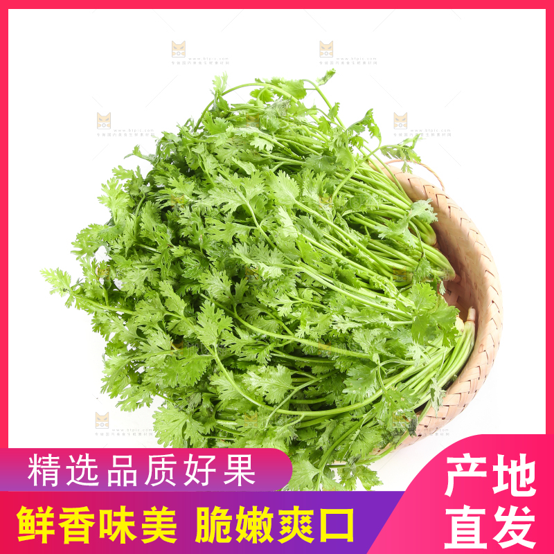 白底上的芹菜