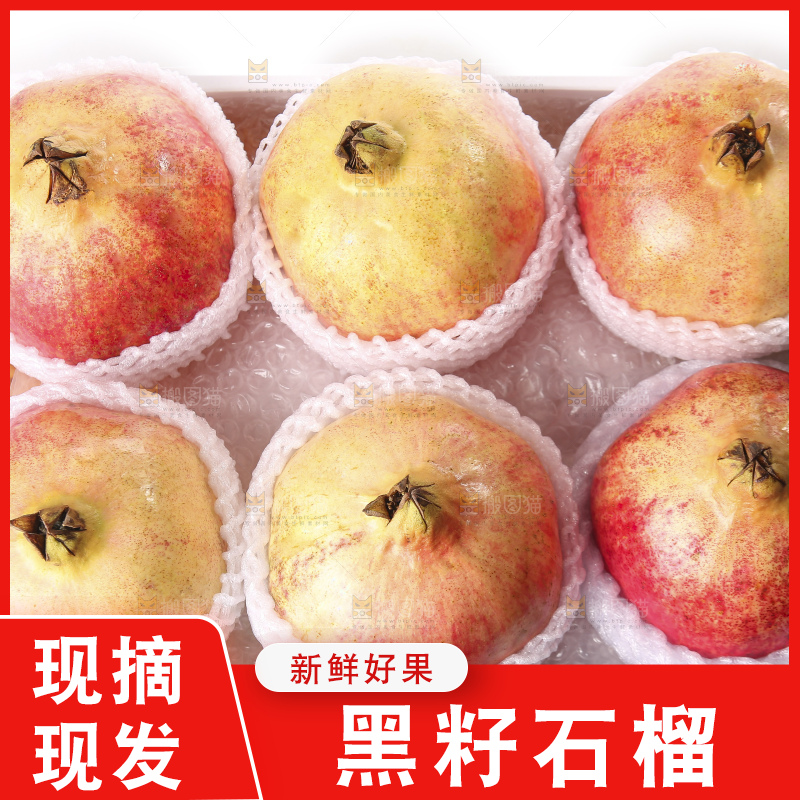 白底上的突尼斯软籽石榴